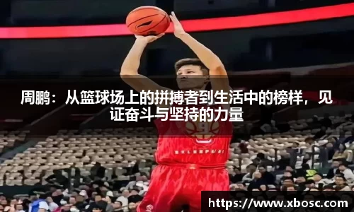 球速体育